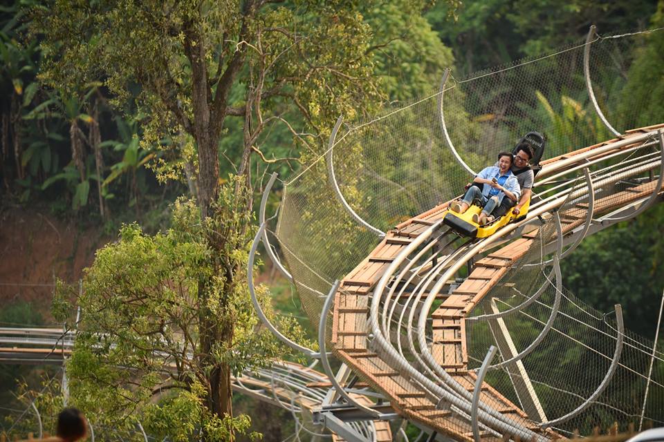 pyongyang jungle coaster zipline camp&resort ราคา news