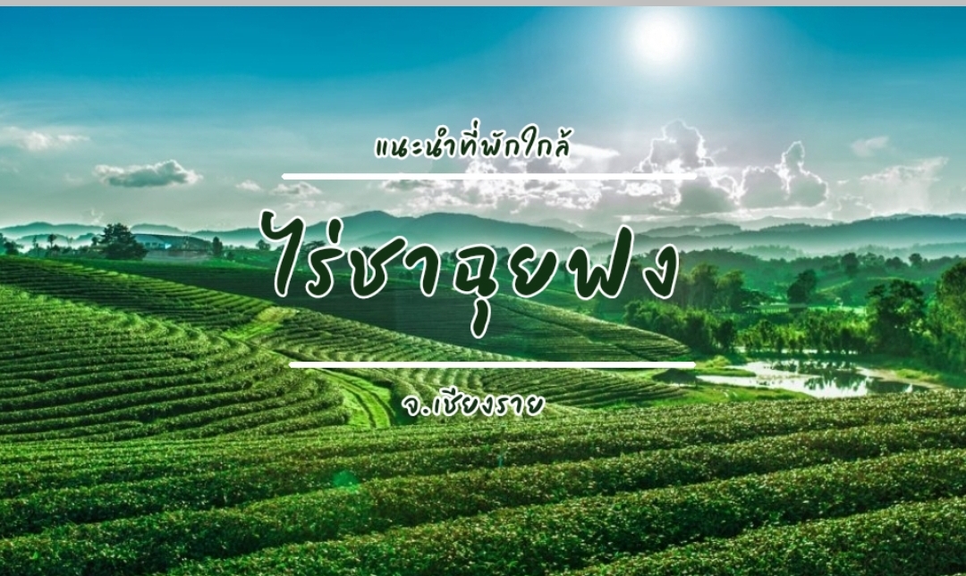 8 ที่พักเชียงรายบรรยากาศสุดฟิน ทั้งในตัวเมือง ริมน้ำ กลางไร่ชา  วิวทุ่งนาและภูเขา
