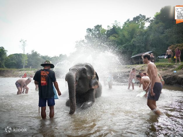 ที่เที่ยวเชียงใหม่ ปางช้าง